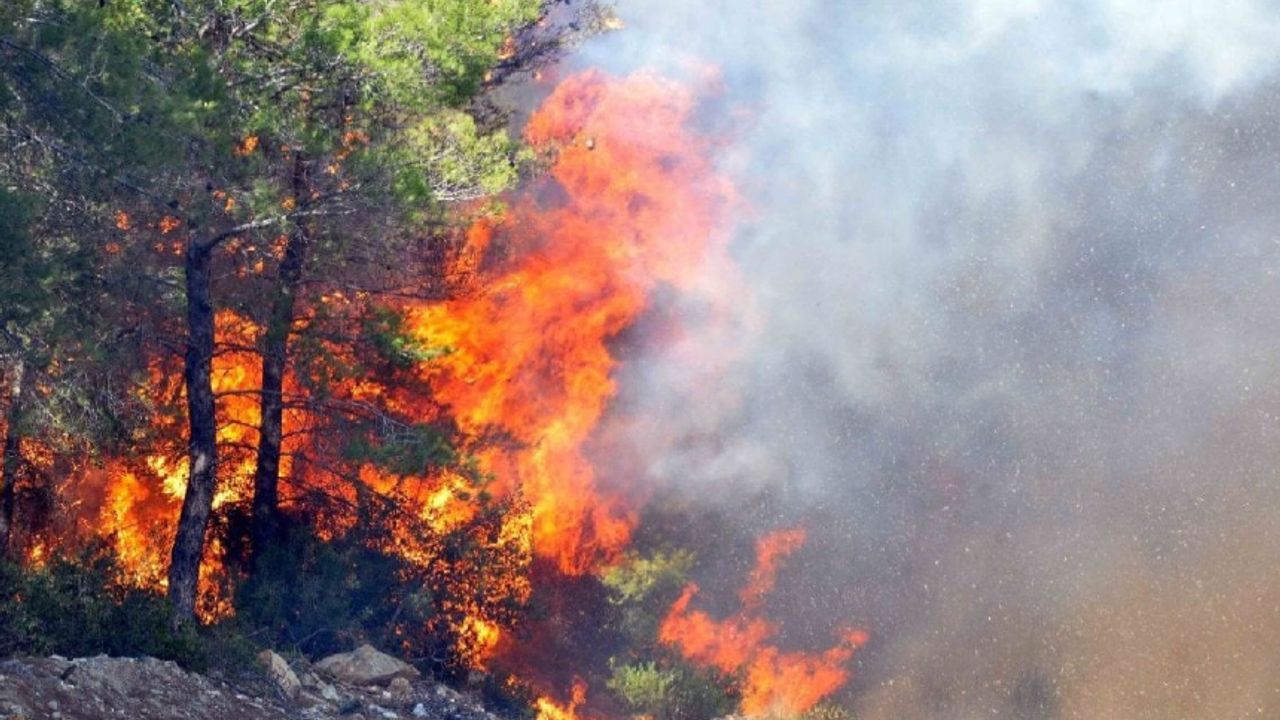 Havalar Isındı: Orman Yangınlarına Dikkat!