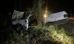 Ağaca Çarpan Otomobil Sürücüsü Hayatını Kaybetti