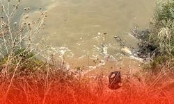 Dereye Akan Kirli Su Tedirgin Ediyor