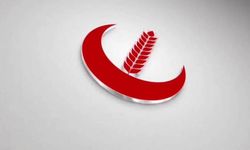 Ne “Mutlu”yuz  Ne De “Demir” Gibiyiz.