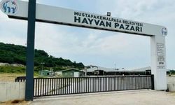 Hayvan Pazarı Kapatıldı