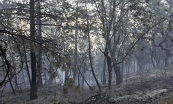 Alacaat Yangınının Nedeni Belli Oldu