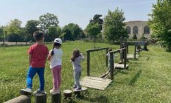 Ormankadı'da Öğrenme Sınıfların Ötesine Taşınıyor
