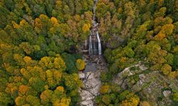 Üzerine Ağaç Düşen Belediye İşçisi Hayatını Kaybetti