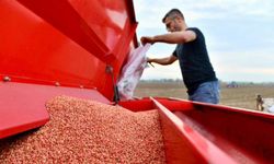 Belediye İşi Büyüttü