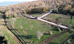 Sokak Hayvanları İçin Yenice'de Doğal Yaşam Alanı