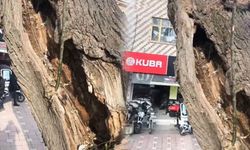 ''Güzellikten Çok Tehlike Saçıyor''