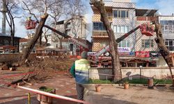 Paşada Gündeme Taşıdı, Tehlike Ortadan Kaldırıldı