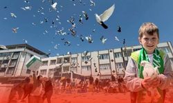 Güvercinin Başkentinde Muhteşem Şov