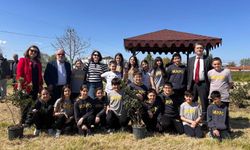 Fidanlar Toprakla Buluştu