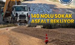 Paşada Gündeme Taşıdı, Çalışmalar Başladı