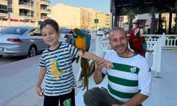 Papağanları Olmadan Sokağa Çıkmıyor