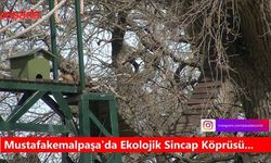 Mustafakemalpaşa'da Ekolojik Sincap Köprüsü