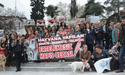 Bursa'da hayvanseverlerden katliama tepki
