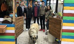 Bursa'da Bu Kafe Çok Farklı! 3 Kitap Bağışlayan Herkese Ücretsiz Öğretiyorlar
