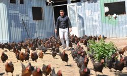 Mustafakemalpaşa'lı Çiftçi'den Esinlendi, Tavuklarının Yumurta Verimi Arttı