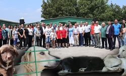 Mustafakemalpaşa'da Hayvanseverler Barınakta Buluştu