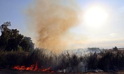 Uluabat Gölü'nde Yangın! Bursa'dan Takviye Geliyor