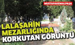 Lalaşahin Mezarlığı’nda korkutan görüntü