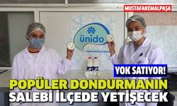 Üniversitenin yok satan dondurmasının salebi Mustafakemalpaşa'da üretilecek