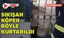 Mustafakemalpaşa'da sıkışan köpek böyle kurtarıldı