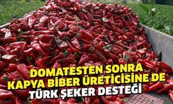 Domatesten sonra kapya biber üreticisine de Türk Şeker desteği