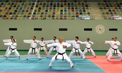 Necip Kaplan il il karate do seminerlerine devam ediyor