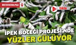 Mustafakemalpaşa'da Uygulanan İpek Böceği Projesi Meyvelerini Vermeye Başladı
