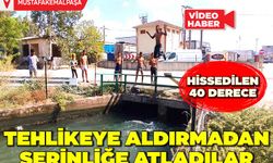 Tehlikeye Aldırmadan, Serinliğe Atladılar