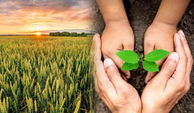 Sağlıklı Toprak Sağlıklı Yaşam