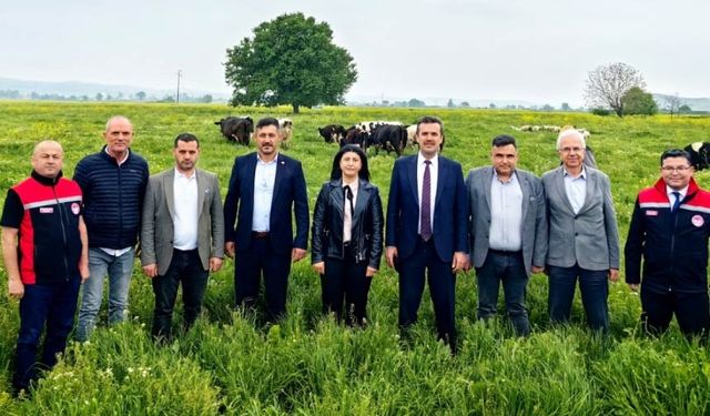 Derecik Merası Islah Edildi