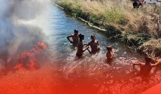 Bir Yanda Yangın, Bir Yanda Tehlikeli Oyun