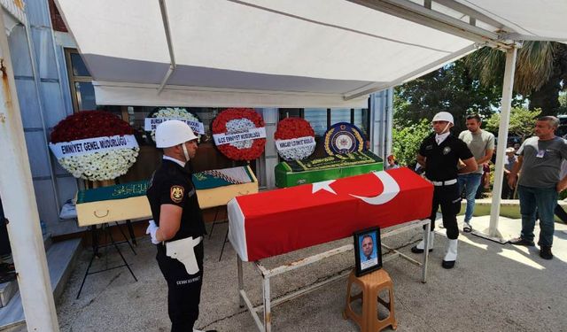 Acının Adresi Yamanlı
