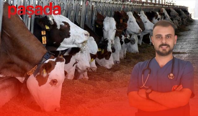 ''İlçede Pandemi Yaşanıyor, Kurumlar Susuyor''