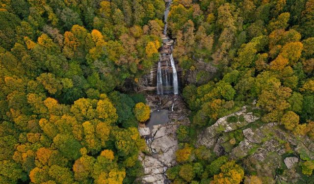 Üzerine Ağaç Düşen Belediye İşçisi Hayatını Kaybetti