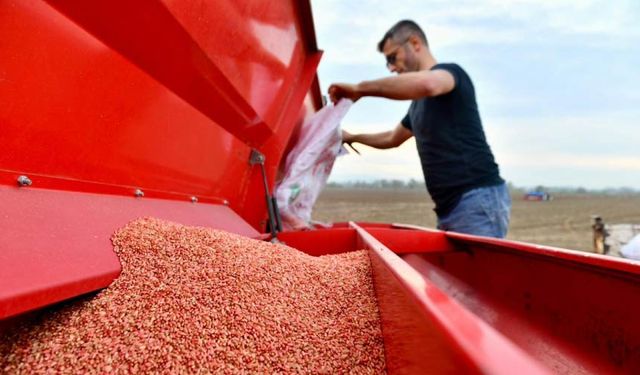 Belediye İşi Büyüttü