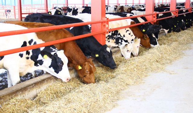 Başkanlık Mustafakemalpaşa'ya Geri mi Dönüyor!