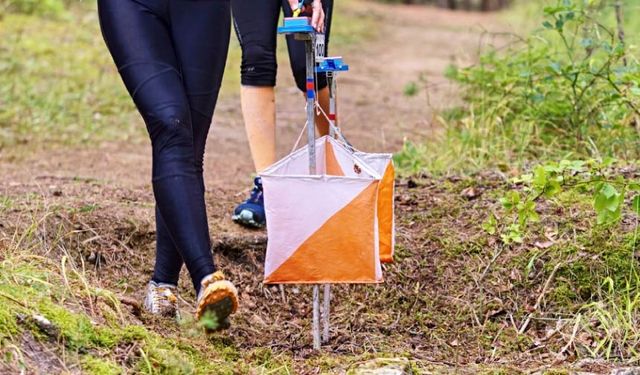 Oryantiring Yarışmasına Mustafakemalpaşa Damgası