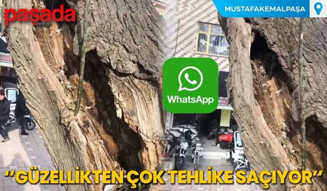 ''Güzellikten Çok Tehlike Saçıyor''