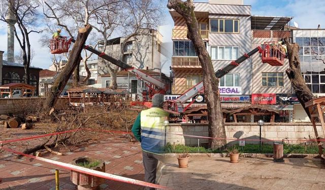Paşada Gündeme Taşıdı, Tehlike Ortadan Kaldırıldı