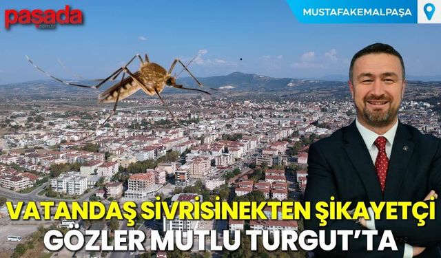 Vatandaş Sivrisinekten Şikayetçi, Gözler Mutlu Turgut’ta
