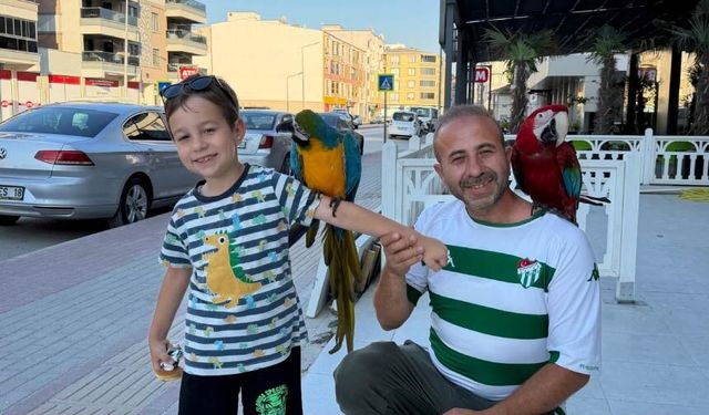 Papağanları Olmadan Sokağa Çıkmıyor