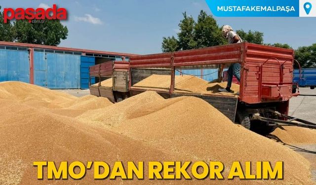 TMO'dan Rekor Alım