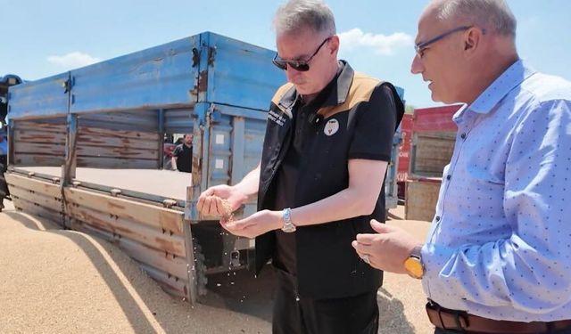 TMO'dan Rekor Alıma Genel Müdür Çıkarması