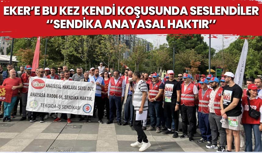 Sendika Anayasal Haktır