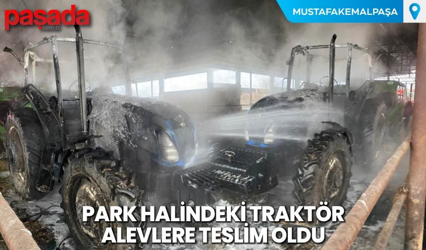 Park Halindeki Traktör Alevlere Teslim Oldu