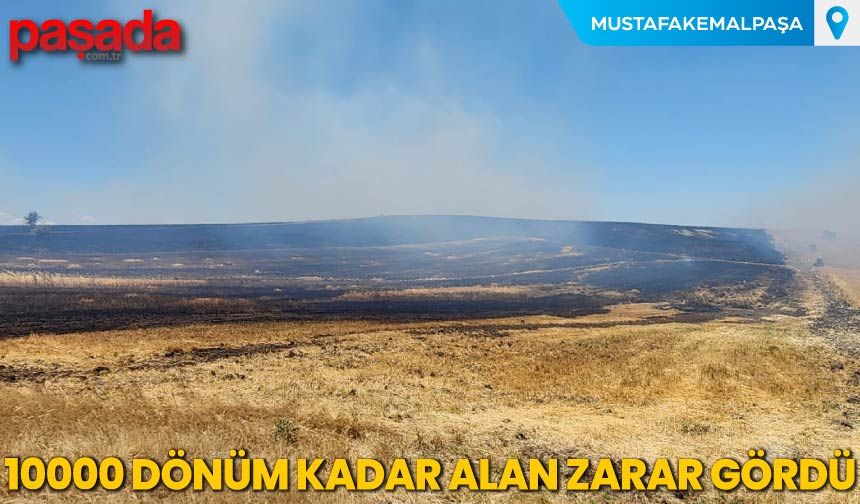 10000 Dönüm Kadar Alan Zarar Gördü