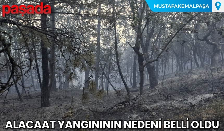 Alacaat Yangınının Nedeni Belli Oldu