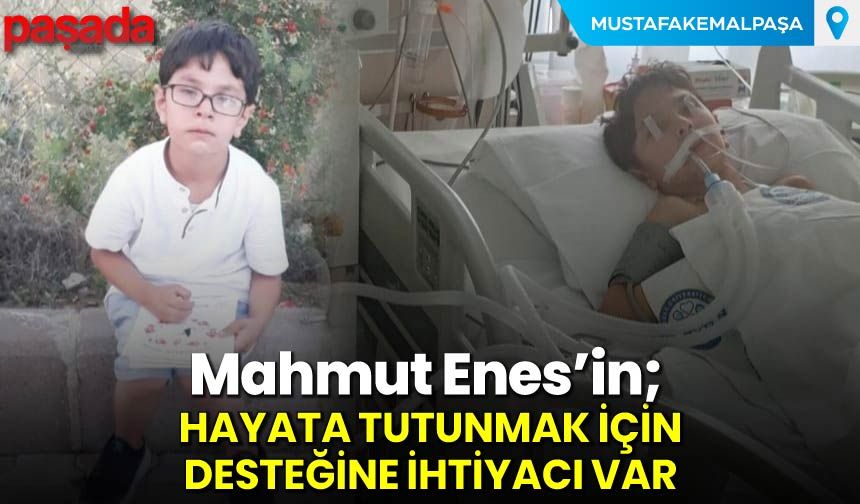 Hayata Tutunmak İçin Desteğine İhtiyacı Var