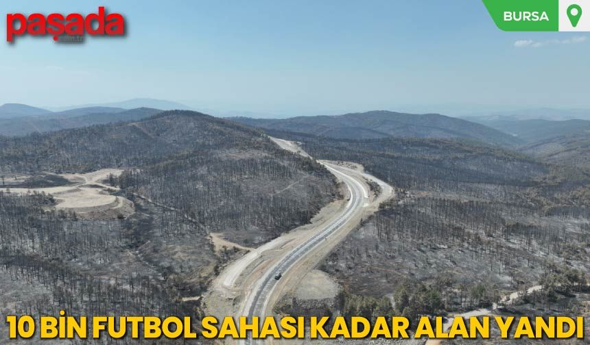 10 Bin Futbol Sahası Kadar Alan Yandı
